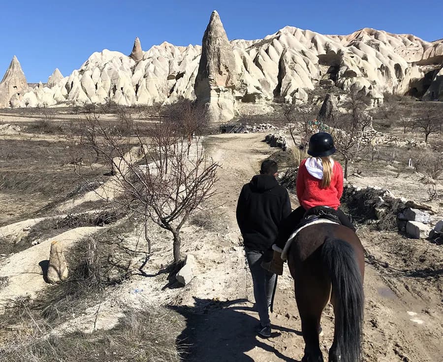 Horse Tour / Horse-Drawn Safari